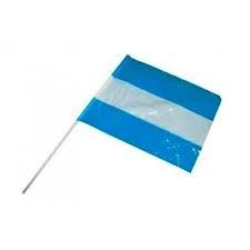 BANDERA PLASTICA ARGENTINA 15x21