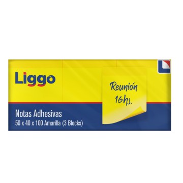 STICK NOTAS LIGGO 50x40x100 x3