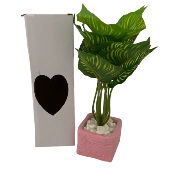 BZ DECO MACETA C/PL 4M11509