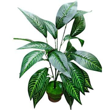 BZ DECO RAMO EA38-01-26 PLANTA