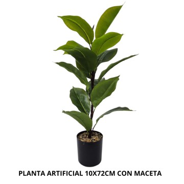 BZ DECO MACETA C/PL 91429