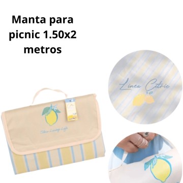 ART IBI PICNIC MANTA 990740 1.5x2mt