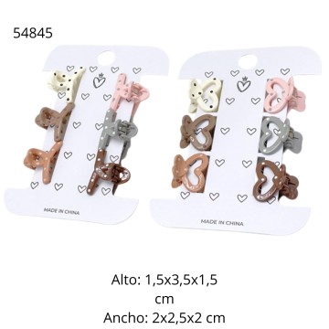 TG ACC BROCHE x6 54845/54846