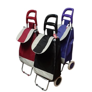 BZ CARRITO COMPRAS 57910540 LISO