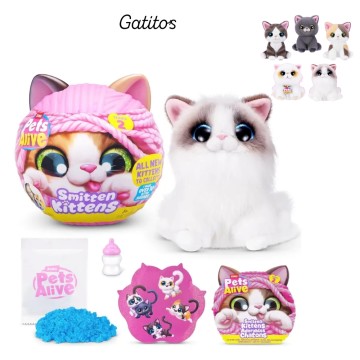 JUG WR PETS ALIVE 6088 SMITTEN KITTENS