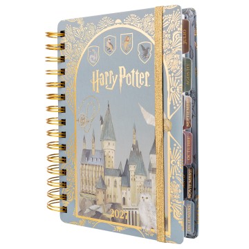 AGENDA MOOV 14x20 ESP HARRY