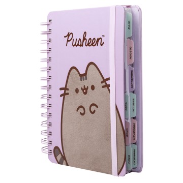 AGENDA MOOV 14x20 DXP PUSHEEN 1418207