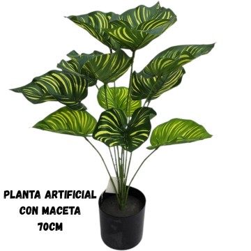BZ DECO RAMO 91401 PLANTA
